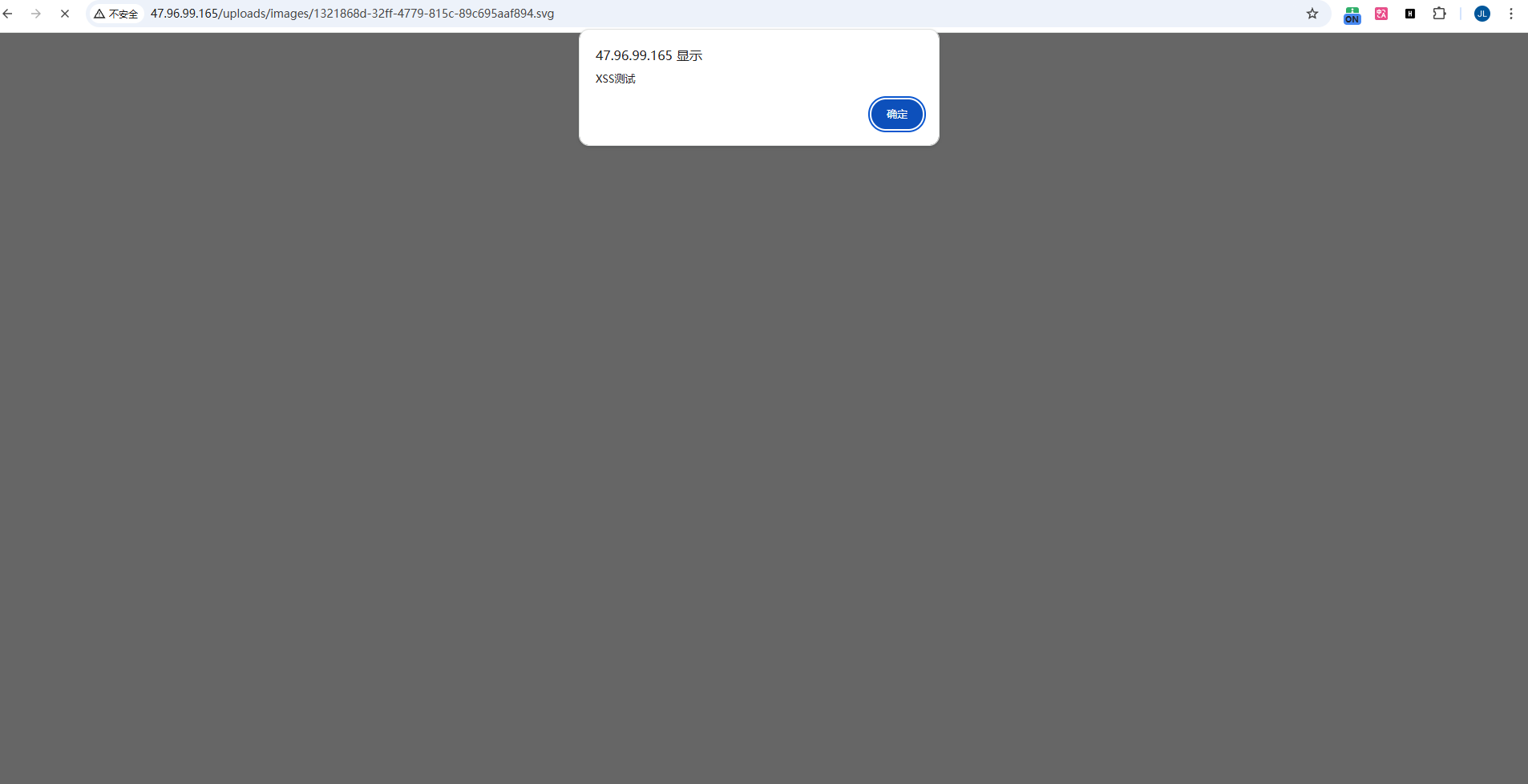 XSS Execution