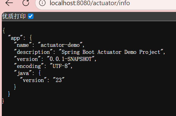 image-20251224131301511